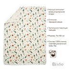Elodie -, , 75*100 .- Meadow Blossom