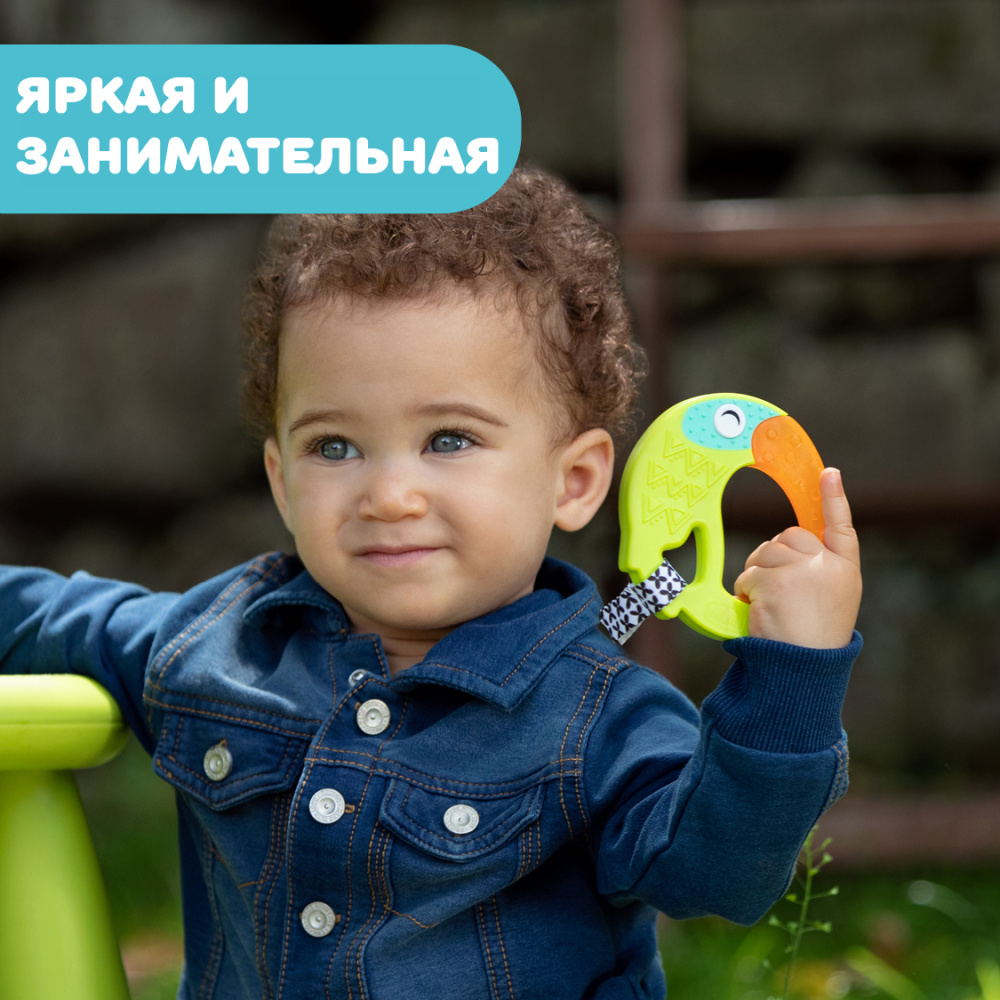 Chicco прорезыватель с зубным кольцом Fresh Funny Teether Toucan - фото  4