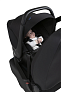 Chicco Автокресло 0+ Kory Essential Black (40-80 см) - фото 33