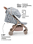 Elodie коляска прогулочная MONDO - Garden Leo Toile Renew - фото 3