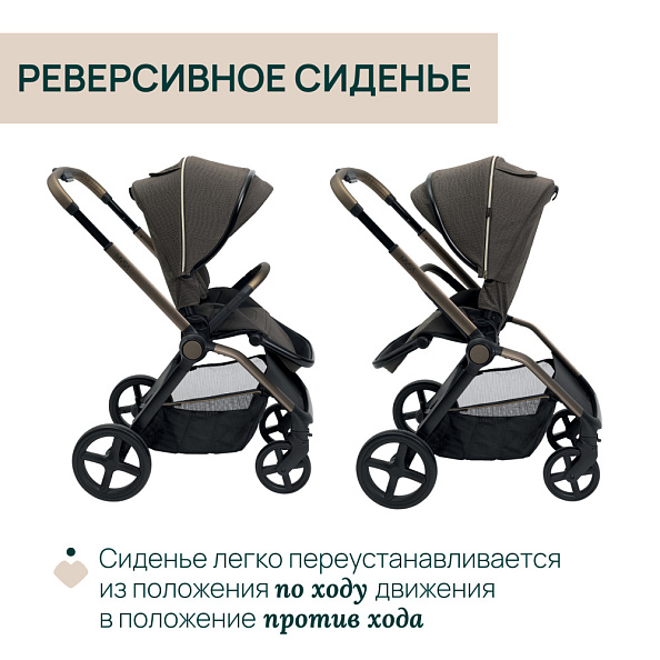 Chicco Коляска 2в1 Mysa Bronze Lizard Re Lux - фото  16