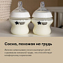 Tommee Tippee бутылочка для кормления Closer to nature, 260 мл., 0+, 2 шт. - фото 10